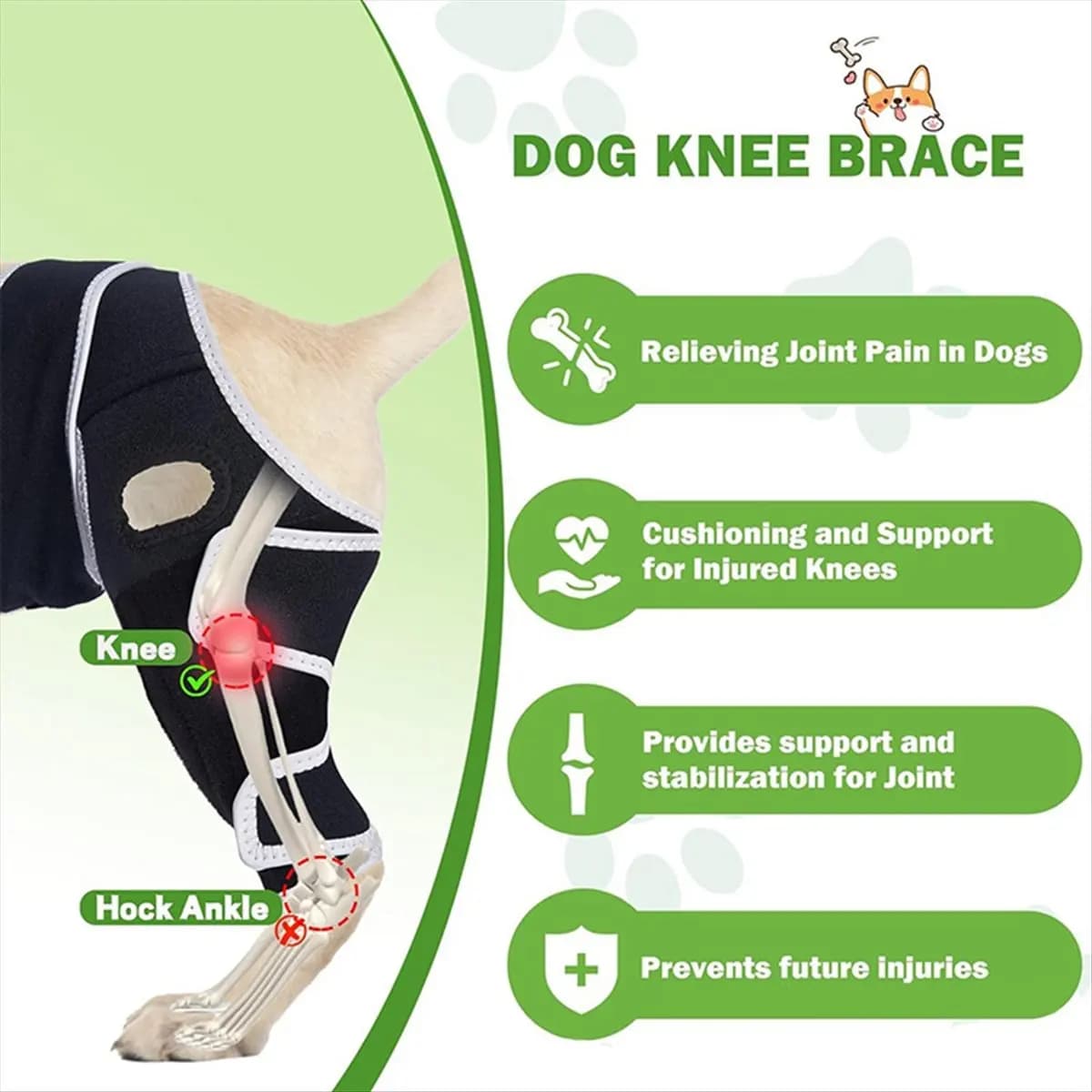 Ginocchiera per cani Top per lesioni Acl e Ccl - Supporto regolabile con stabilizzatori metallici - Aiuta il dolore articolare, L