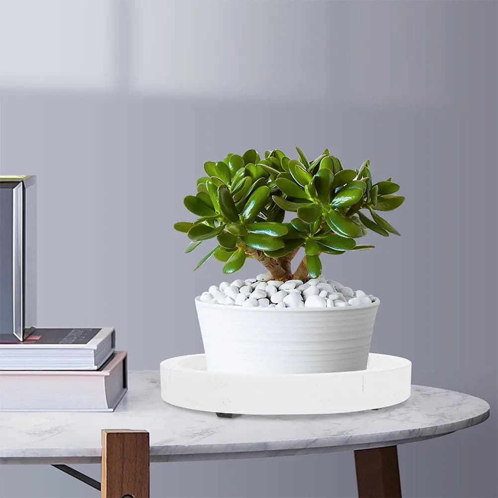 White Round Tray Thick Simil-Cement, Durable Base for Vase Plants, Decorative Underwater for Indoor Garden