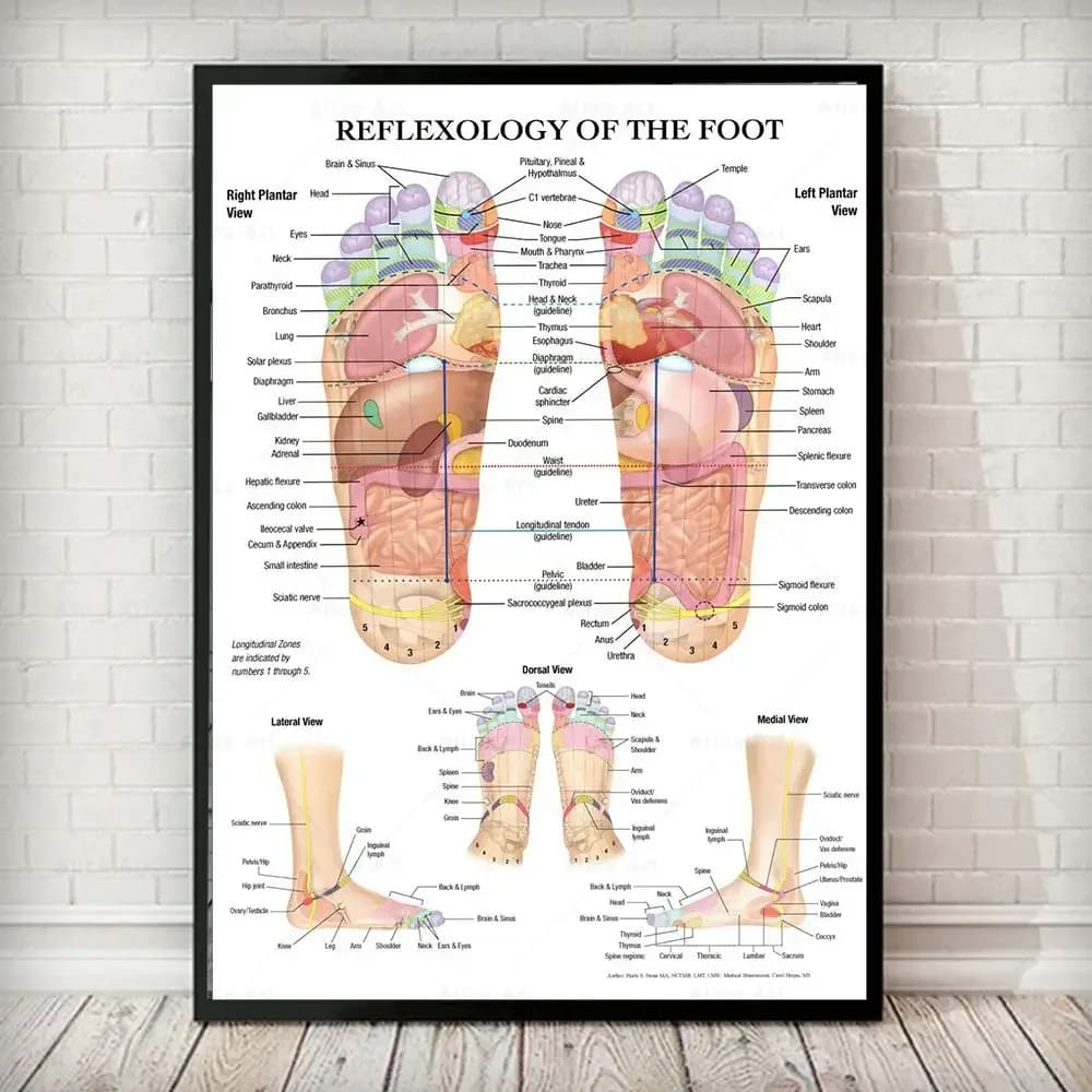 Scandinavian Simple Wall Art Acupuncture Points Diagram Anatomy Foot Reflexology Poster Print Home Bedroom Living Room Decor