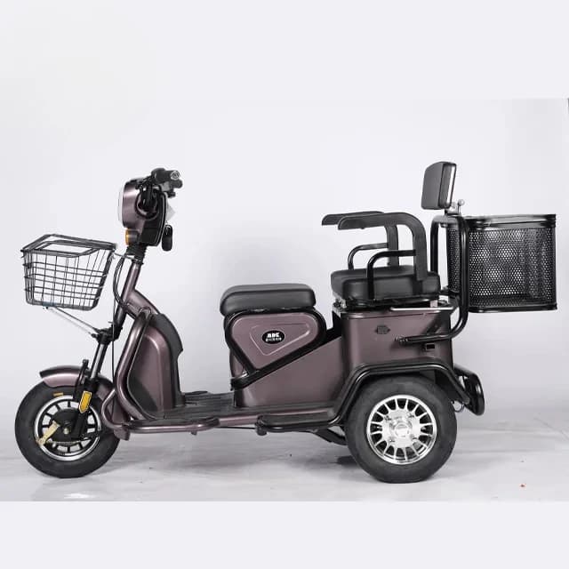 Electric Tricycle 500W 48V 60V China Tricycle Factory Folding Belt Frame Style Three Gears Variable Speed One Button Anti-theft