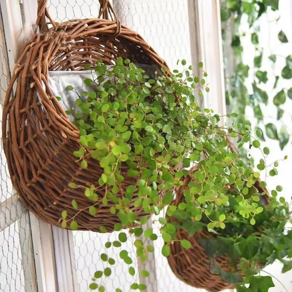 Hand-made rattan wall planter, wall-mounted, rattan wicker basket, garden shed, garden pots, wall flower