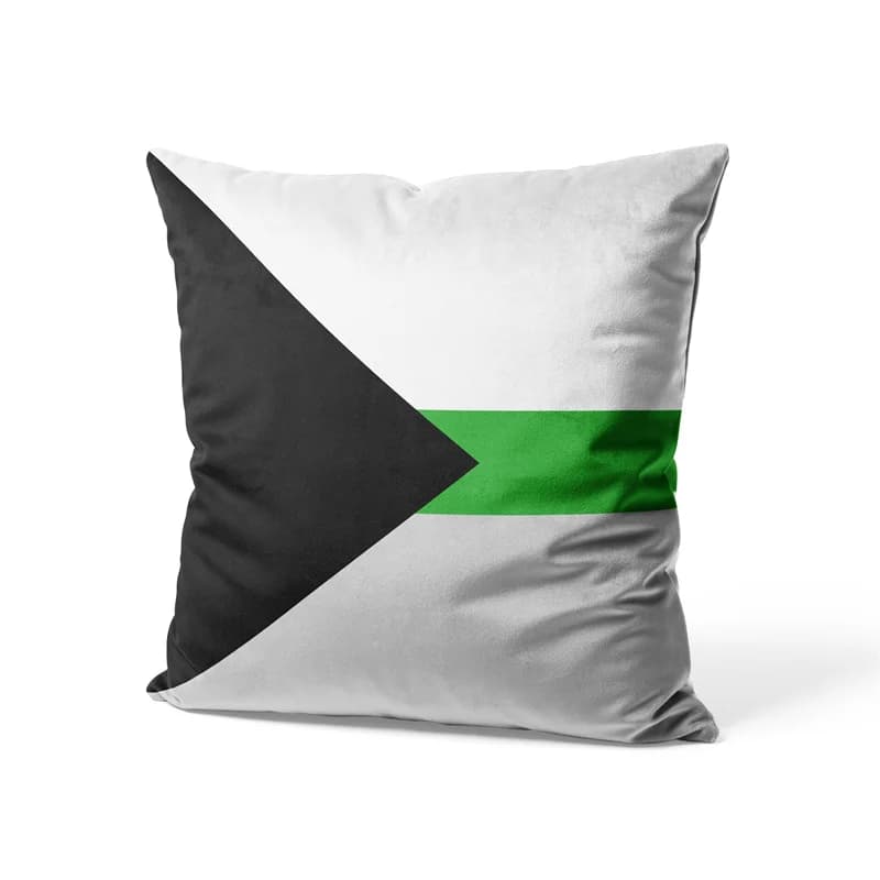 Aertemisi 18'' x 18'' Demiromantic Pride Flag Demisexual Federe per cuscini quadrati 45 cm x 45 cm