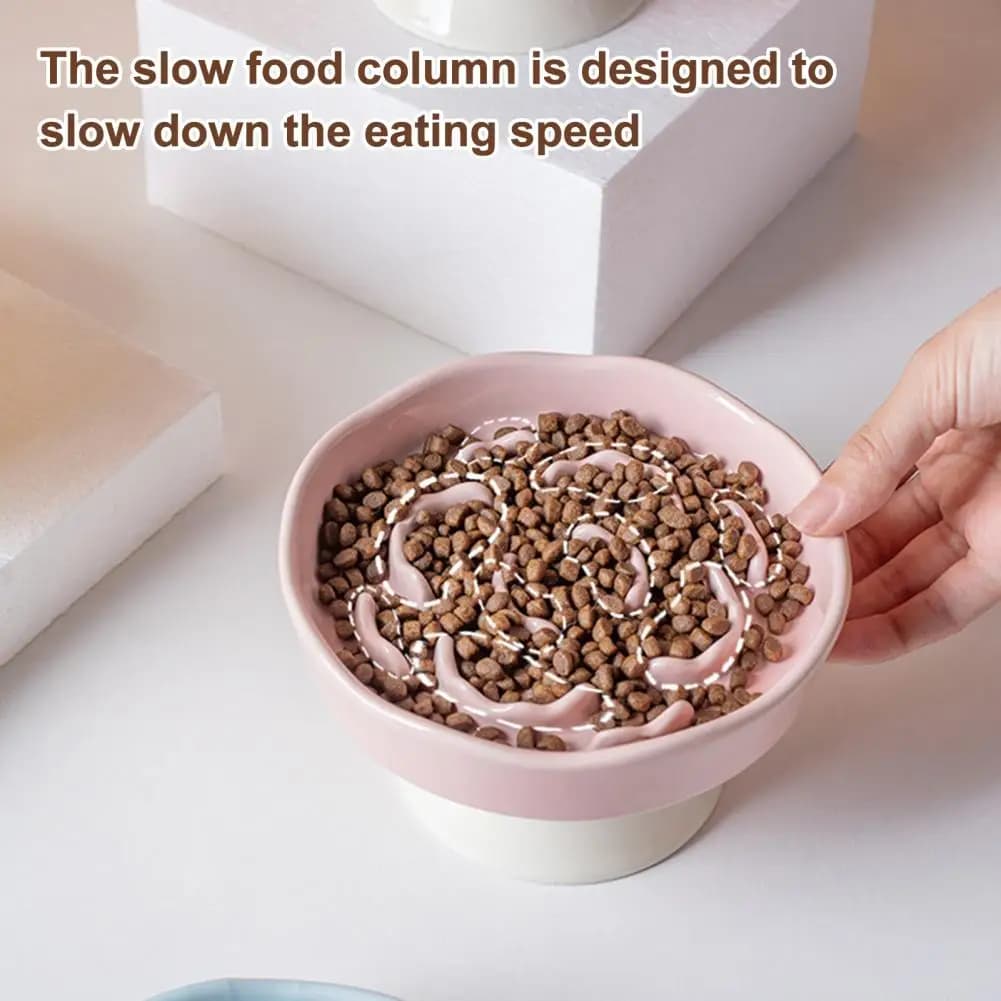 Anti Choke Cat Bowl Raised Pet Slow Feeder Bowl Ceramic Slow Down Eating Dish Anti Vomiting Food Bowl for Small Medium Dogs Cats