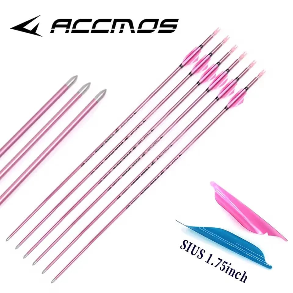 6/12 Pezzi Frecce in Carbonio Puro con Asta Rosa Spine 500/600/700/800/900/1000 ID 4.2mm con Alette Rosa/Blu per Tiro con l'Arco e Caccia