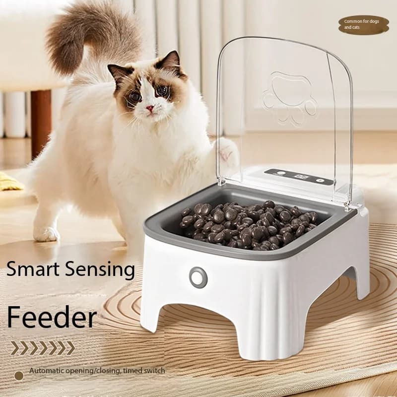 Nuovo Distributore Automatico di Cibo per Gatti con Coperchio Attivato da Sensore, Ciotola in Ceramica con Conservazione Temporizzata, Macchina Intelligente per Dispensare Cibo per Cani