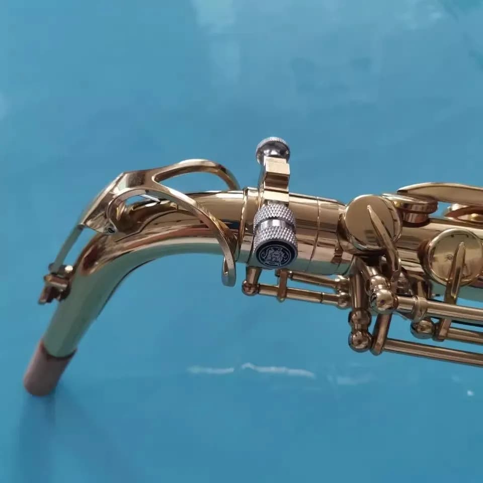 1seyt 5pcs Saxophone treble, midrange, tenor, bent neck tube, neck fixing screw to improve tone