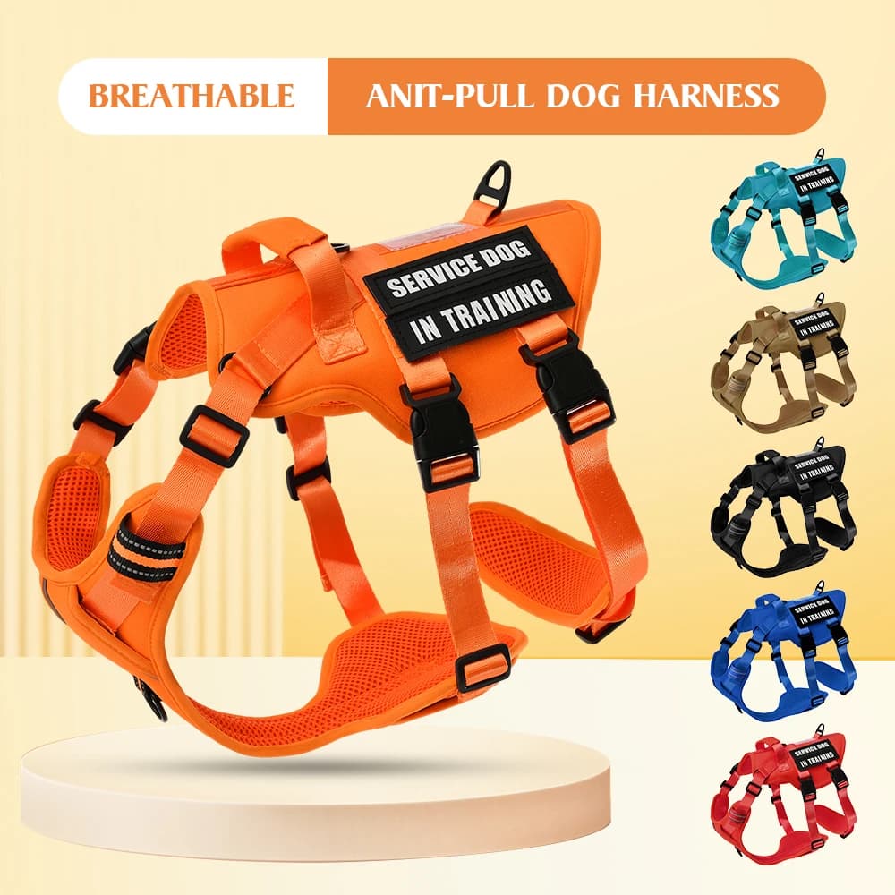 Gilet per cani di servizio Pettorina per cani senza tirare con 4 toppe per cani, pettorina riflettente per animali domestici con impugnatura imbottita morbida e resistente per addestramento Med