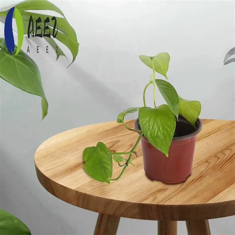 AEE2-200 Pieces Plastic Plants Supplies for Vivai Planter Vase/Vasi Containers Semi-departure Jars Planting Vases