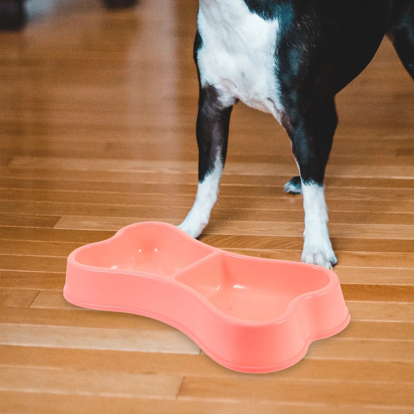 Ciotola per Animali Domestici in Plastica a Forma di Osso, Base Stabile, Facile da Pulire, Contenitore per Cibo e Acqua per Cani e Gatti