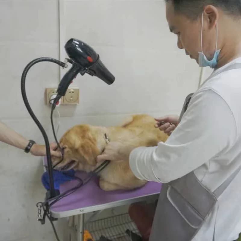 Adjustable Bracket Water Blowing Machine Pet Hair Dryer Stand Dog Cat Grooming Support Arm Holder Tools Products