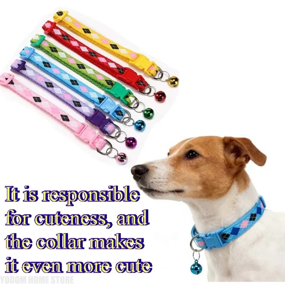 Collare Antiparassitario Regolabile per Cani da Esterno, Anti Zanzare, Pulci, Acari e Zecche, Accessorio per Animali Domestici