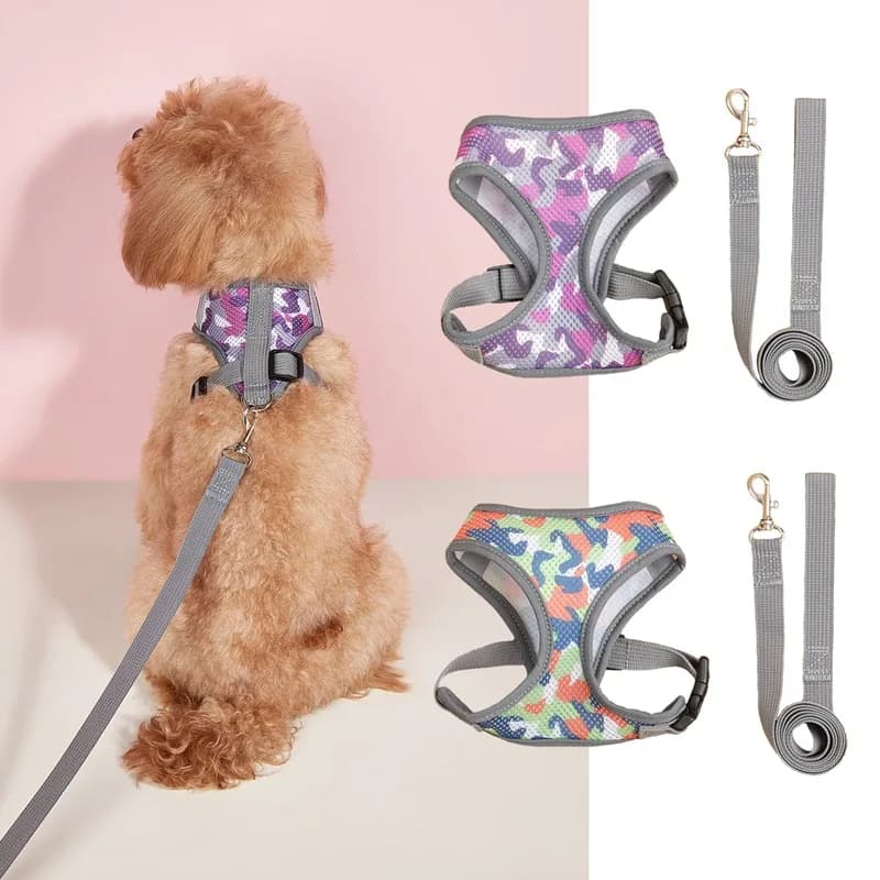 Cintura pettorale per animali domestici, guinzaglio per cani classico a contrasto regolabile e confortevole e traspirante, set di prodotti per collare per cani e gatti