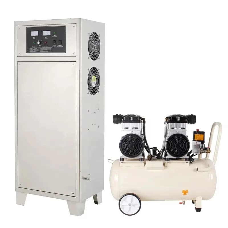Purificatore industriale Lavatrice per alimenti in acciaio inossidabile Generatore di ozono da 80 g Impermeabile 220 V Alimentazione aerea per uso esterno