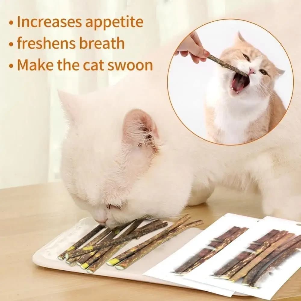 Giocattoli da Masticare Naturali in Silvervine per Gatti Bastoncini per Denti con Erba Gatta Sicuri e Durevoli per Pulizia Dentale Regali per Gattini e Gatti