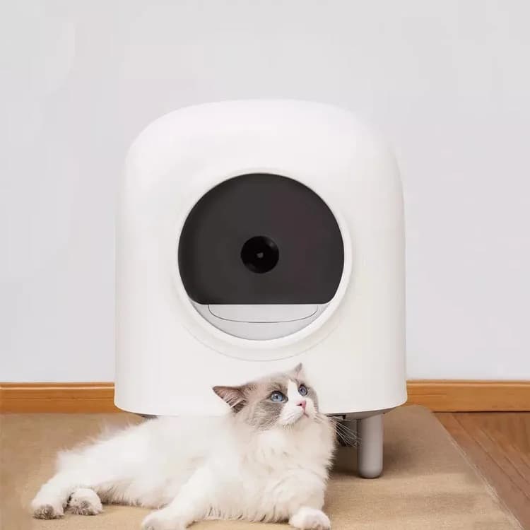 Lettiera per gatti elettrica automatica per pulizia automatica Lettiera per gatti intelligente