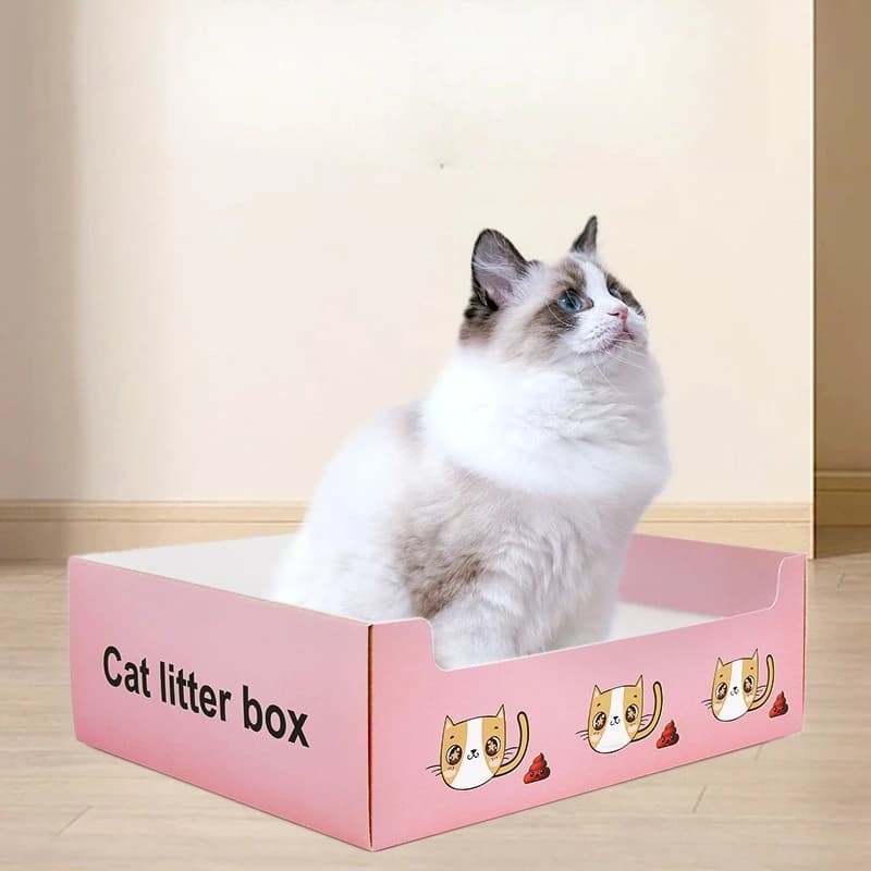 Lettiera per gatti portatile usa e getta Pieghevole impermeabile Grande spazio Scanalatura Design Viaggio a casa Toilette per cani e gatti Forniture per animali domestici