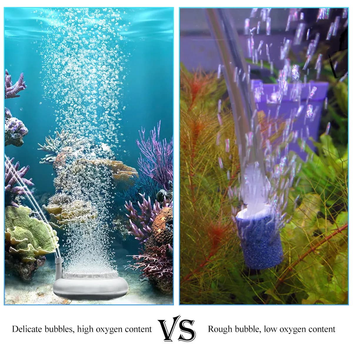 Fish Tank Nano Bubble Pan White Ceramic Aquarium Air Stone Suction Cup High Oxygen Diffuser for Aquarium Oxygen Pump