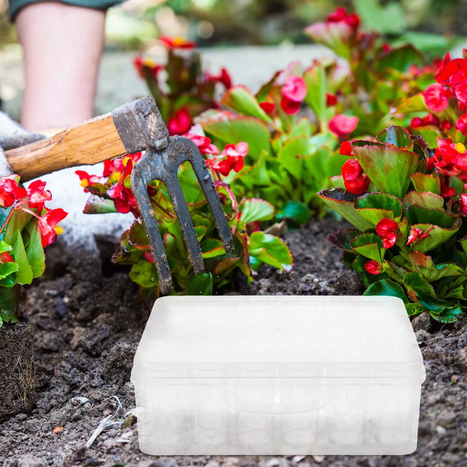 Plastic Seed Storage Organizer Box Transparent PP Ps Material for Flower vegetable Gardening Travel Portable Compact