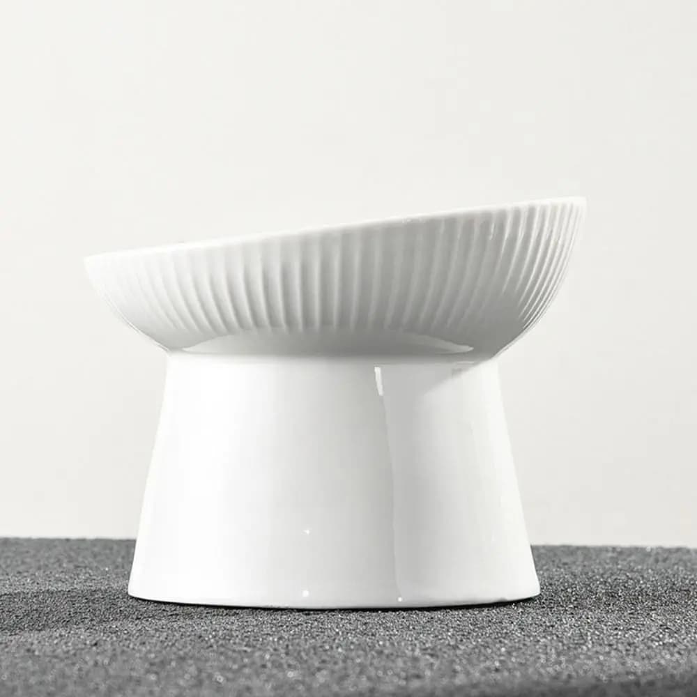 Ciotola in Ceramica per Gatti e Cani, Inclinata/Piana, Creativa, Anti-Ribaltamento, Multiuso, con Piedini Alti, per Cuccioli e Gattini