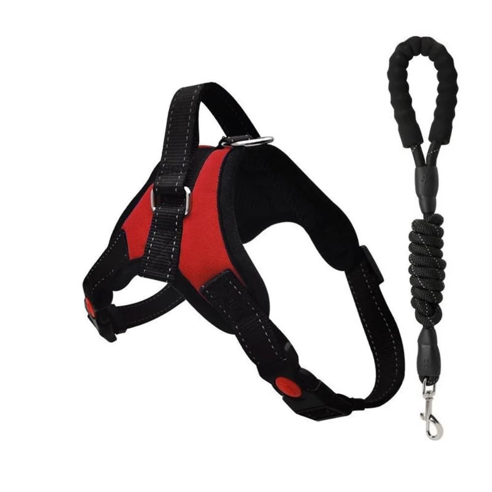 Pettorina per Cani e Gatti in Nylon Resistente, Regolabile e Riflettente con Guinzaglio, Gilet per Animali Domestici Resistente all'Usura per Tutte le Stagioni