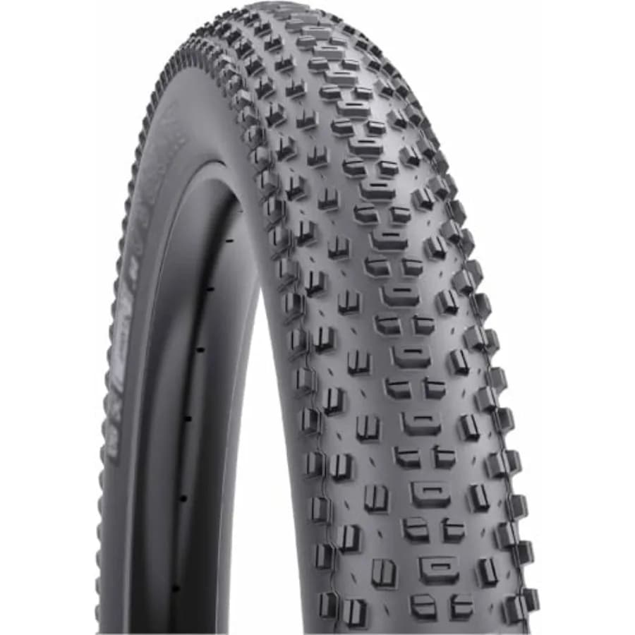 Pneumatico per Mountain Bike Ranger 29 x 3.0 Tubeless Pieghevole per Trail e Bikepacking - Nero con Protezione Antiforatura SG2, Leggero e Veloce