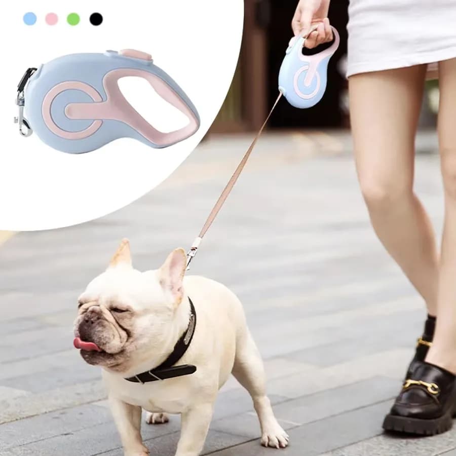 New retractable leash for dogs company 3m 5m leash for dogs in Nylon automatic resistant puppy stretchable walking for small dogs medium size