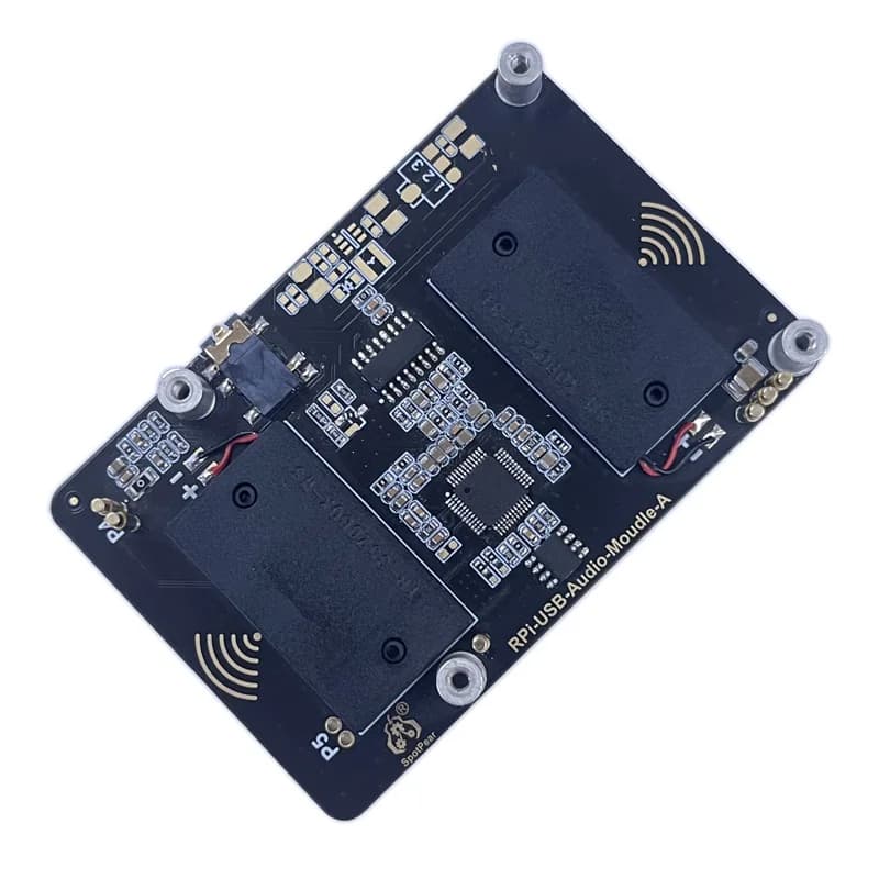 Scheda Audio USB Raspberry Pi5 Modulo HAT con Jack per Auricolari e Kit Altoparlante Buzzer, Opzione per Pi4B