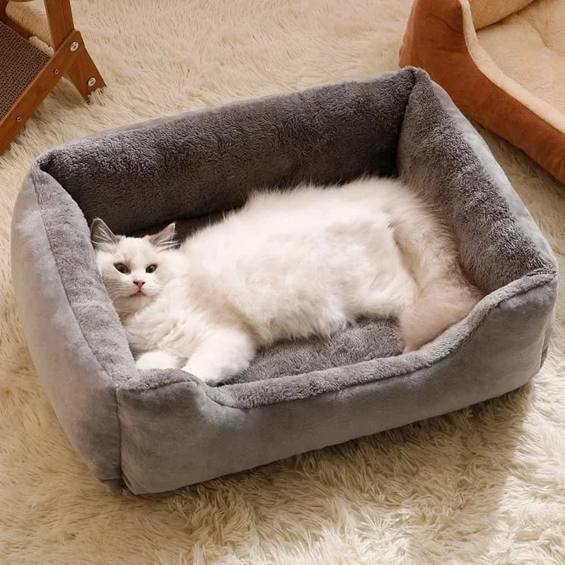 Cuscini e Tappetini Invernali per Gatti e Cani, Accessori e Prodotti per Animali Domestici, Cuccette e Forniture per Gattini e Cuccioli