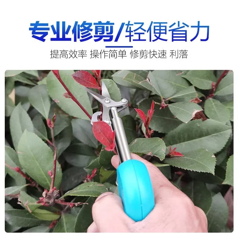 Durable Garden Tool Artifact Fruit Picking Shears Pruning Shears Household Special Hardware Shears Stainless Steel Mini Small