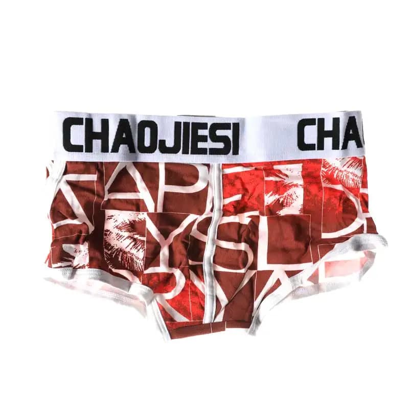 Antarctic Man Men's Underwear, Men's Briefs, Trendy Cotton Boxer Shorts, Summer Thin Breathable Shorts, Underpants, Underwear Br