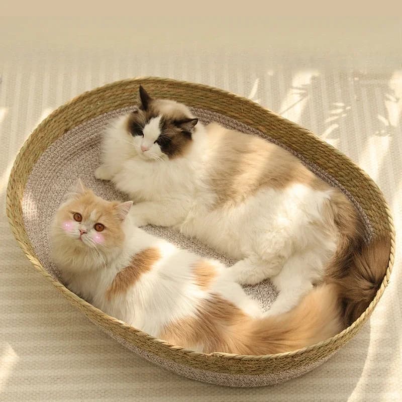 Cestino per tessitura in rattan per gatto Comodo letto per cani da compagnia per animali domestici Tessuto fresco estivo Casa per gatti Ciambella Rotonda Gattino Cucciolo Letto letti per gatti