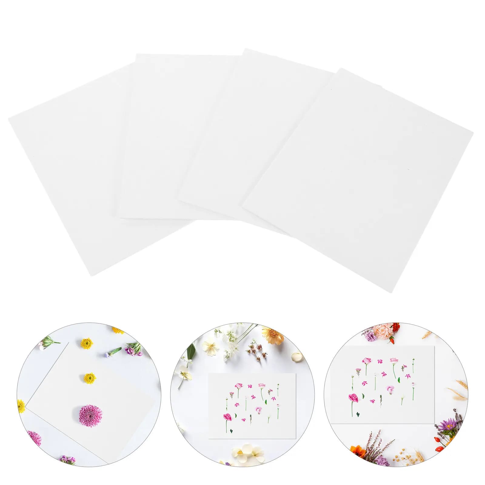 4 Pezzi di Carta Assorbente per Fiori Secchi, Fogli Leggeri e Portatili per Pressare Frutta e Herbario