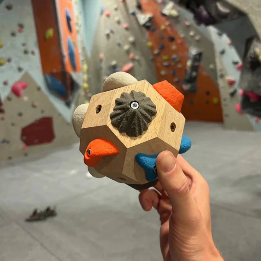 L'arrampicata con blocchi di Boulder realizzati a mano contiene pietre giganti fatte a mano migliorano la forza ornamento di precisione decorazioni per la casa regalo