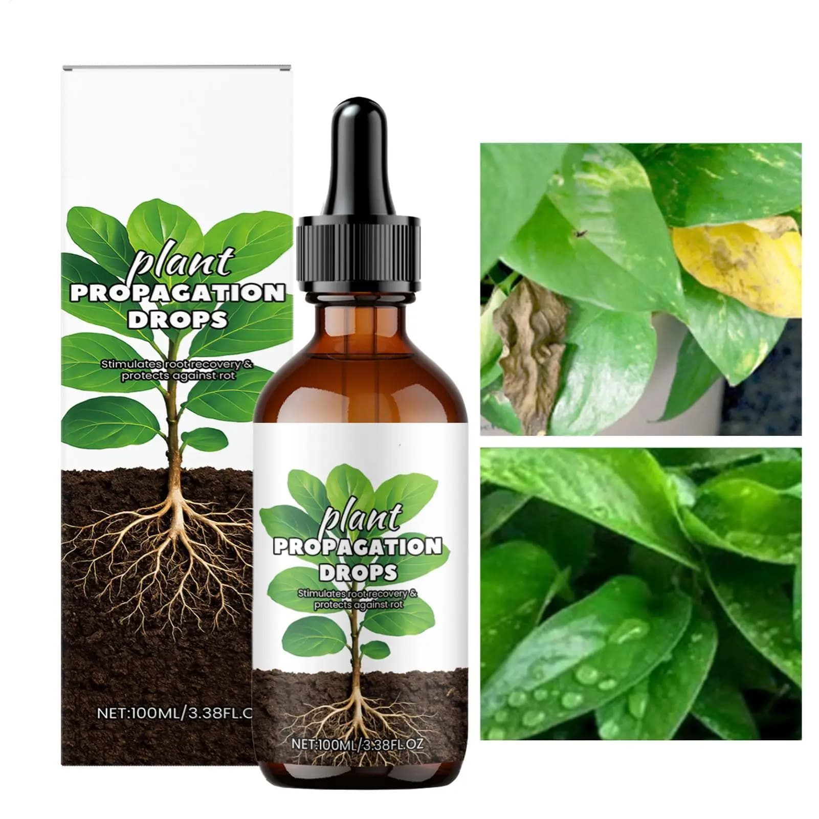 Rain Booster 100ml Gocce liquide per stimolatore delle radici per piante sane Radici forti Giardinaggio per interni ed esterni Propagazione del terreno d'acqua