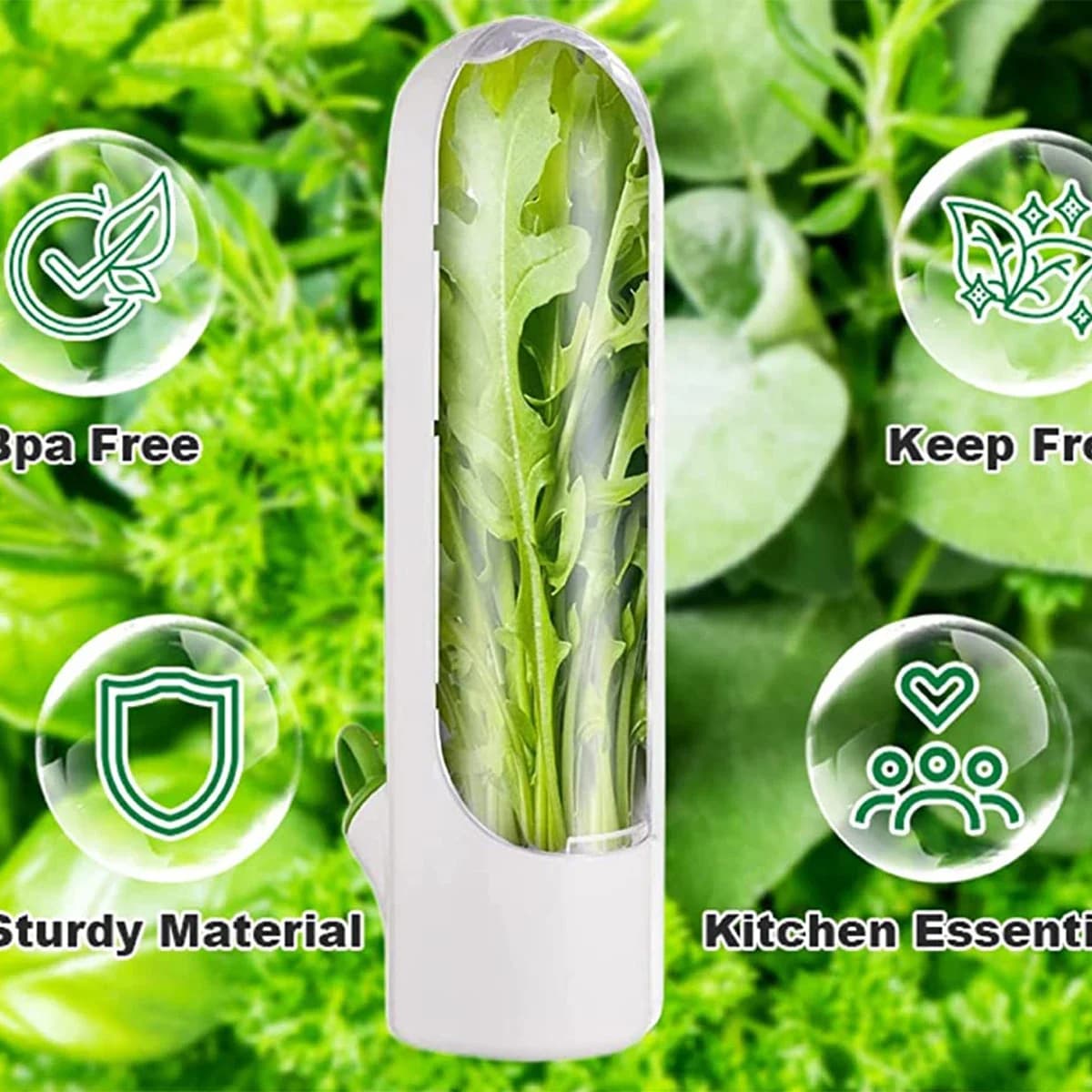 Contenitore per la conservazione di erbe aromatiche 1/2/3 pezzi, contenitore per erbe fresche, bottiglia per la conservazione di vaniglia e verdure fresche per frigorifero e cucina