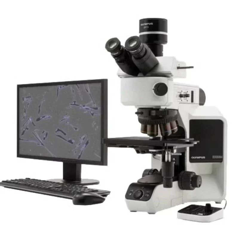 Software di Classificazione per Analisi Metallografica/Microscopia