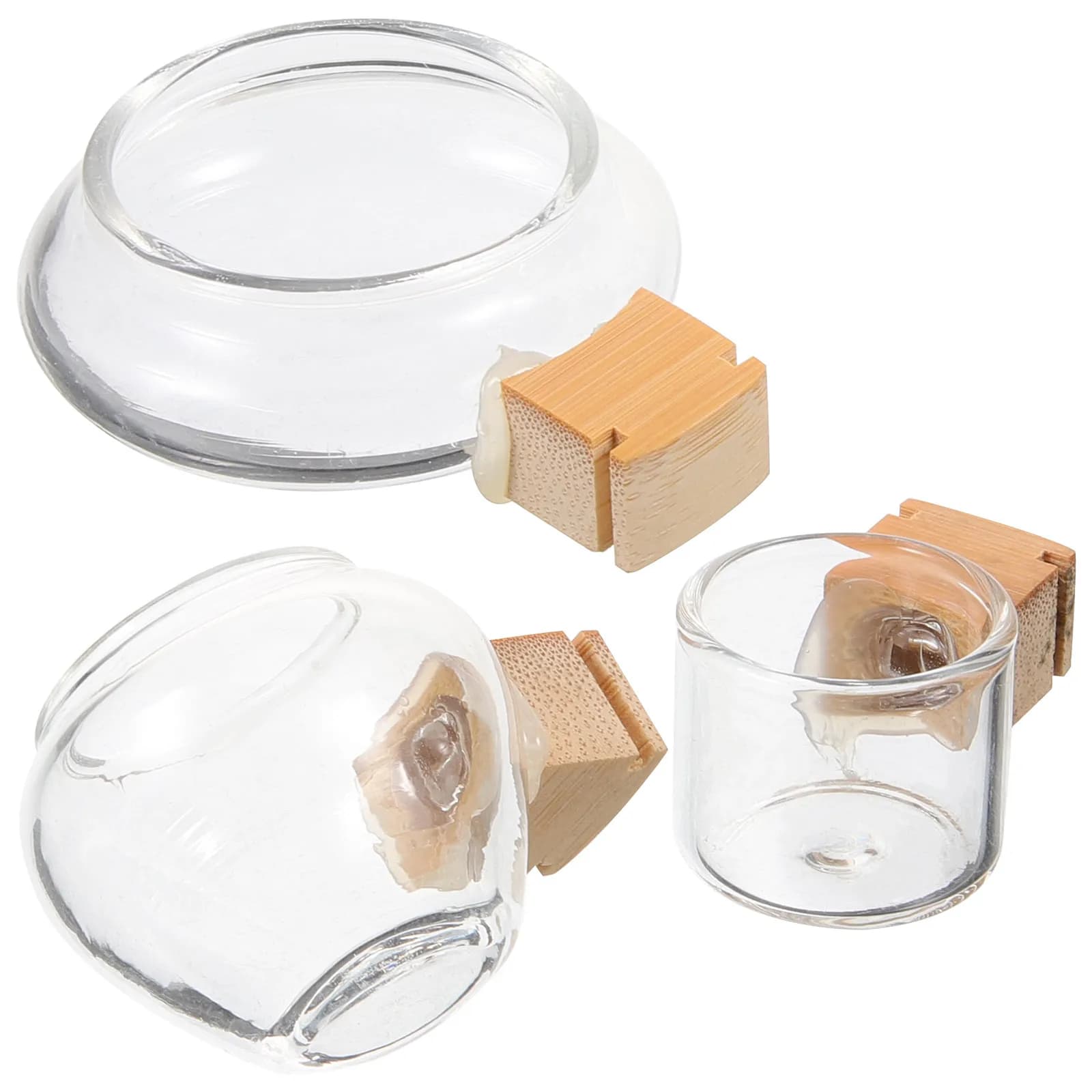 3Pcs Glass Bird Feeder Bowl Set Bamboo Fixed Design Leak Proof Pet Food Container Water Holder for Parrot Parakeet Cockatiel