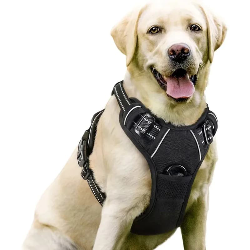 Dog Collars Harness Pet Dog Big Chest Vests Leash Dogs Collars Harness Puppy Accessories Medium Small Dog Collar Vest Harness