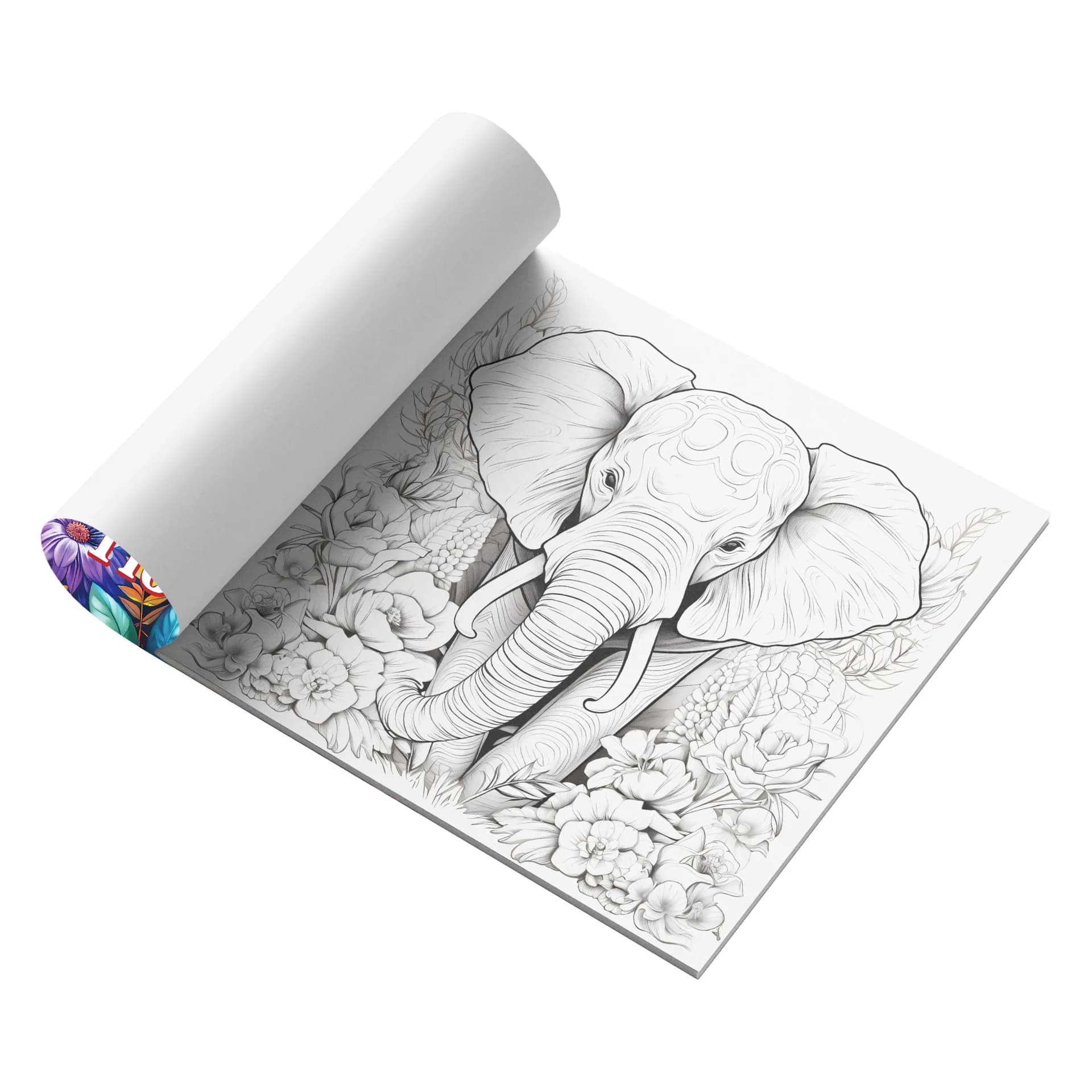 Vibrant Animals and Flowers Coloring Book Adorable Raccoon Multicolor Bloom Jungle Plant Wildlife Art Sketch Notebook