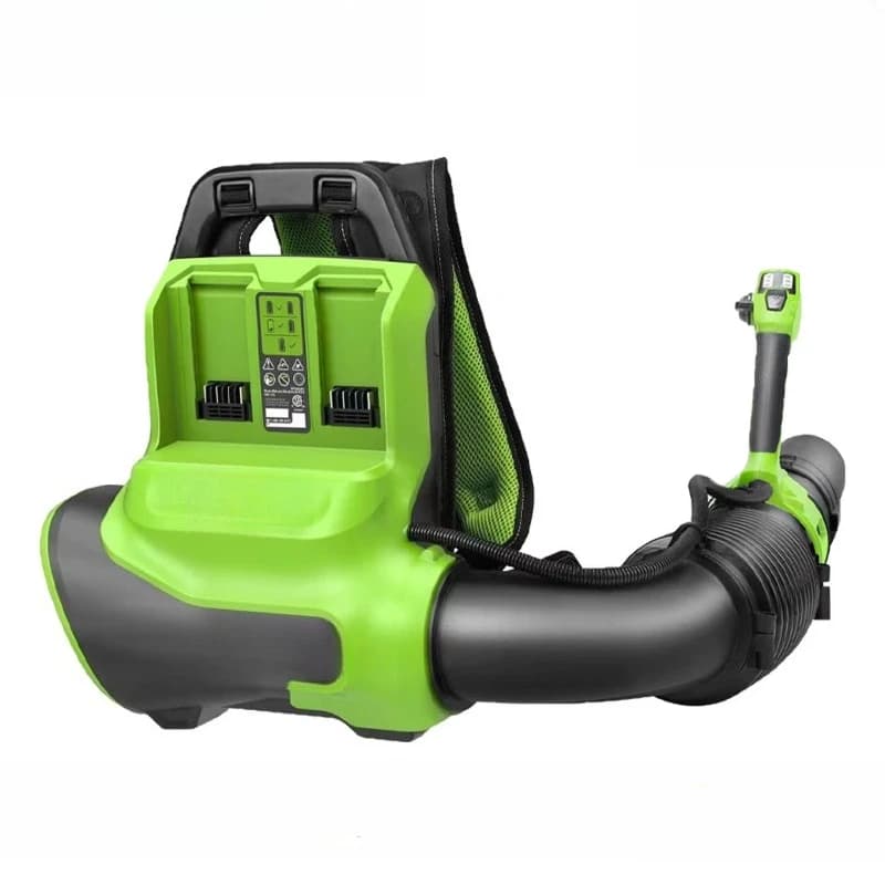 Asciugacapelli elettrico doppio Knapsack, spazzaneve per spazzolare il pavimento e soffiare le foglie