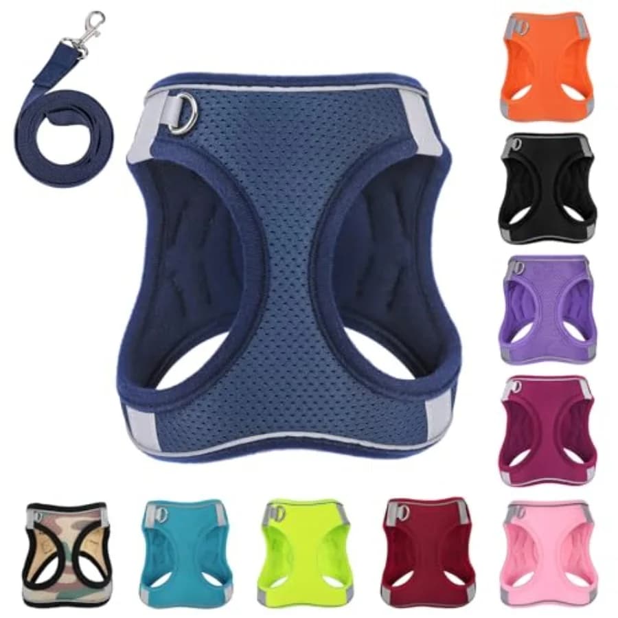 Set Pettorina e Guinzaglio per Cani, Pettorina Riflettente Anti-Trazione con 1 Clip per Guinzaglio, Gilet Regolabile Imbottito Morbido per Passeggiate Facili