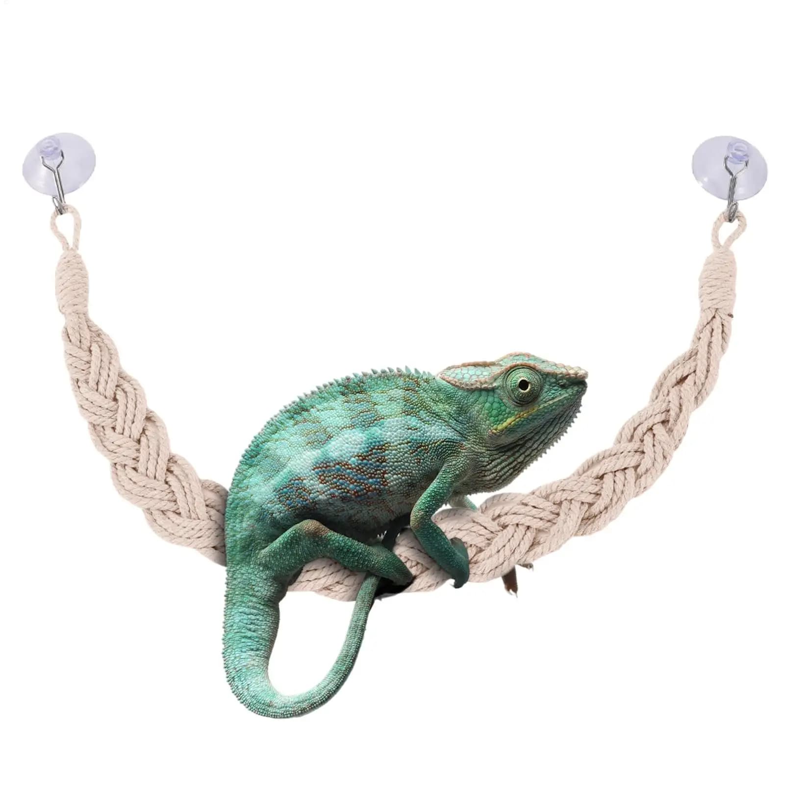 Giocattoli per granchio eremita per carro armato Giocattoli per granchio eremita con ganci a ventosa Giocattoli per granchio eremita con ganci a ventosa per albero di granchio eremita