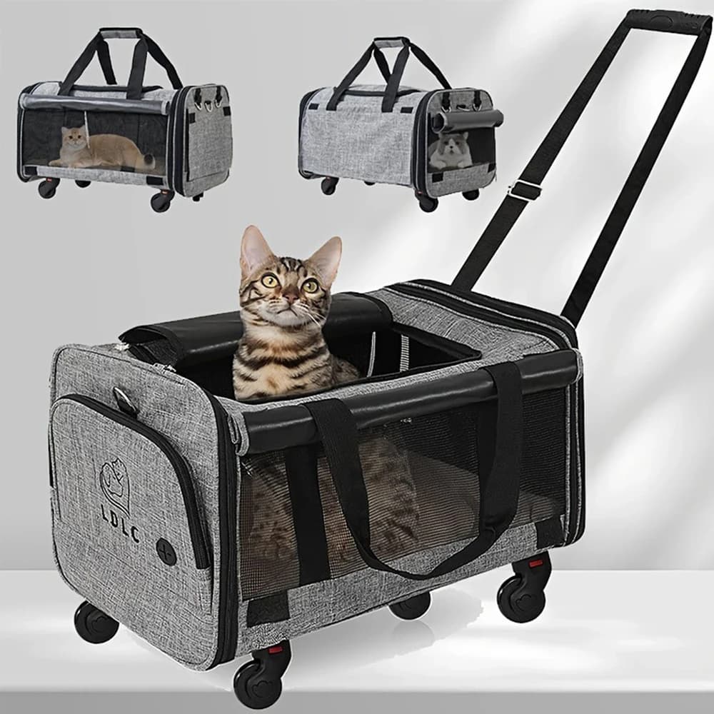PARKER Borsa da passeggio multiuso per cani e gatti Borsa da esterno per gatti e cani con ruote Borsa da traino portatile per animali domestici pieghevole rimovibile