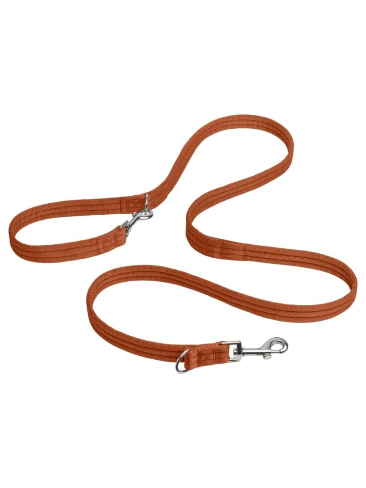 Lardeau Thickened Pet Leash One to Two Multi-Function Large Medium Dogs Running Walking Rope 2 Meters Polyester Non-Extensible