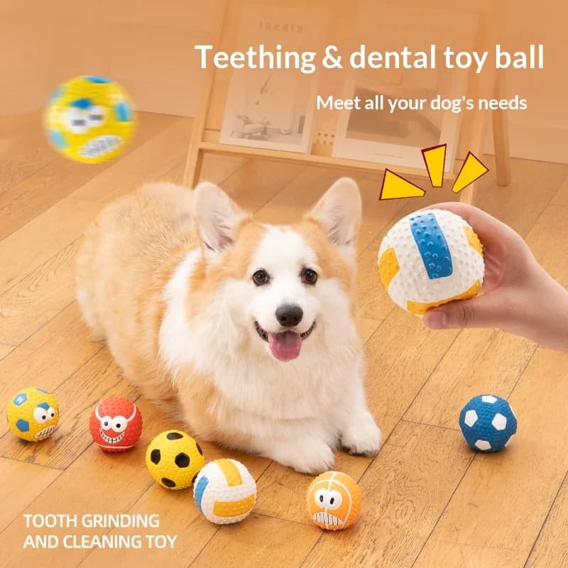 Pawty Dog Toy Ball Chew Resistant Teeth Cleaning Squeaky Elastic Interactive Training Boredom Relief Indoor Outdoor Self Play