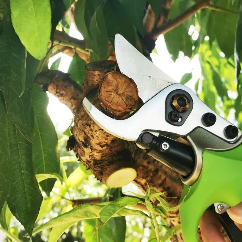 Electric Pruning Shears Garden Orchard Charging Scissors 40V Lithium Battery Scissors CSF401 Lithium Battery Scissors