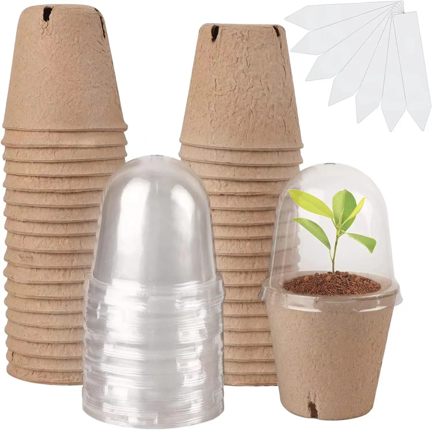 Biodegradable peat pots for seed start, POTI for planting seedlings with labels 1/610, POTS for plants with moisture domes