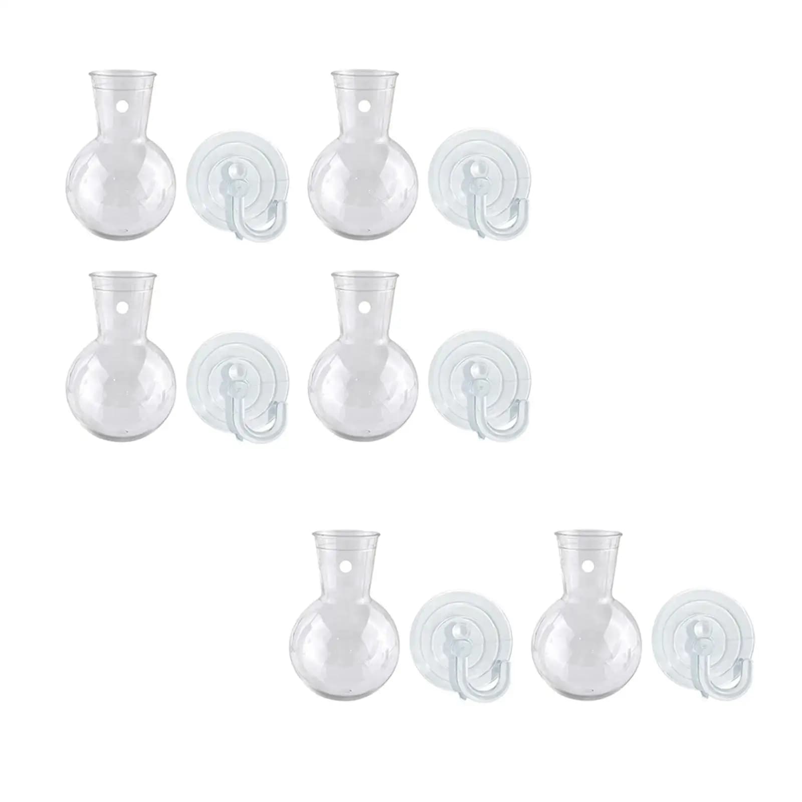 Stazioni di propagazione delle finestre con ganci a ventosa Lampadine per la propagazione delle piante per il bagno Piante idroponiche Fiori Giardino domestico