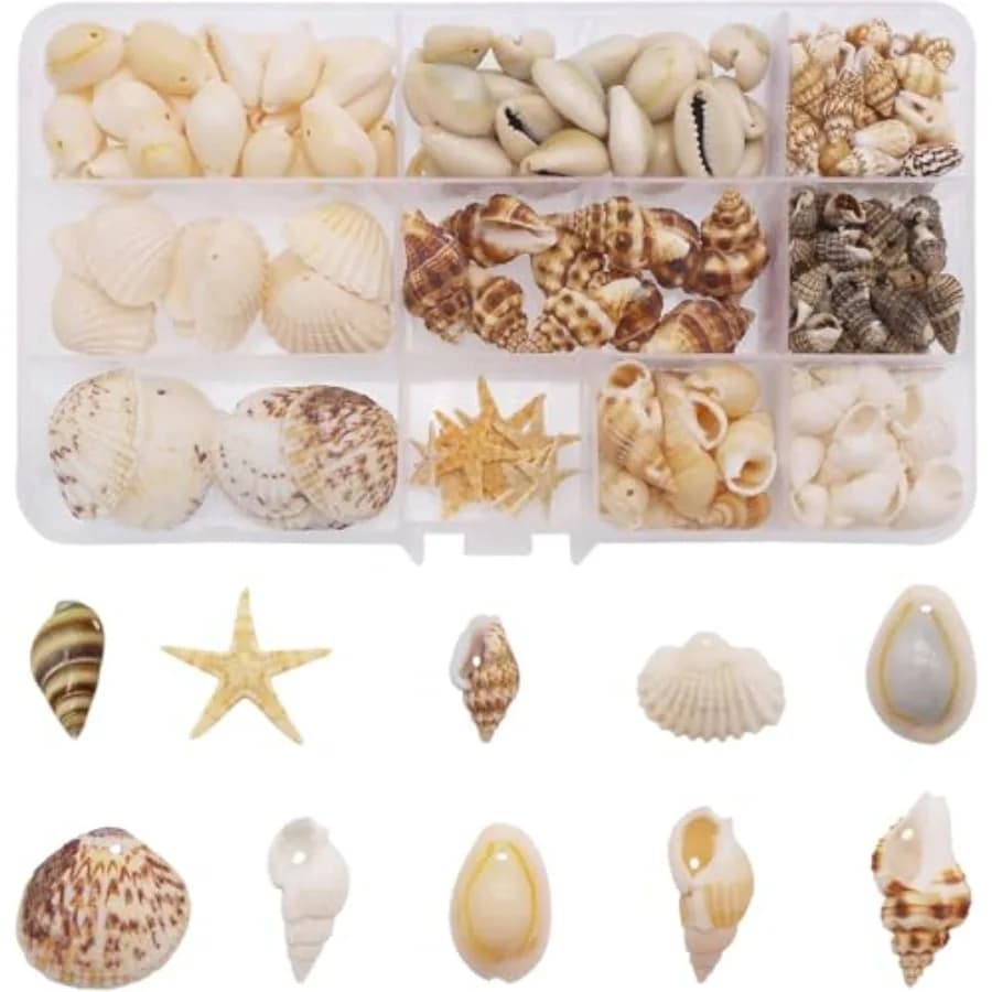 170 Pz/box 10 Styles Sea Shell Coh Star Marina Ocean Beach Spiral Shell with Hole for Resin Mestiere Production of Candles Desire