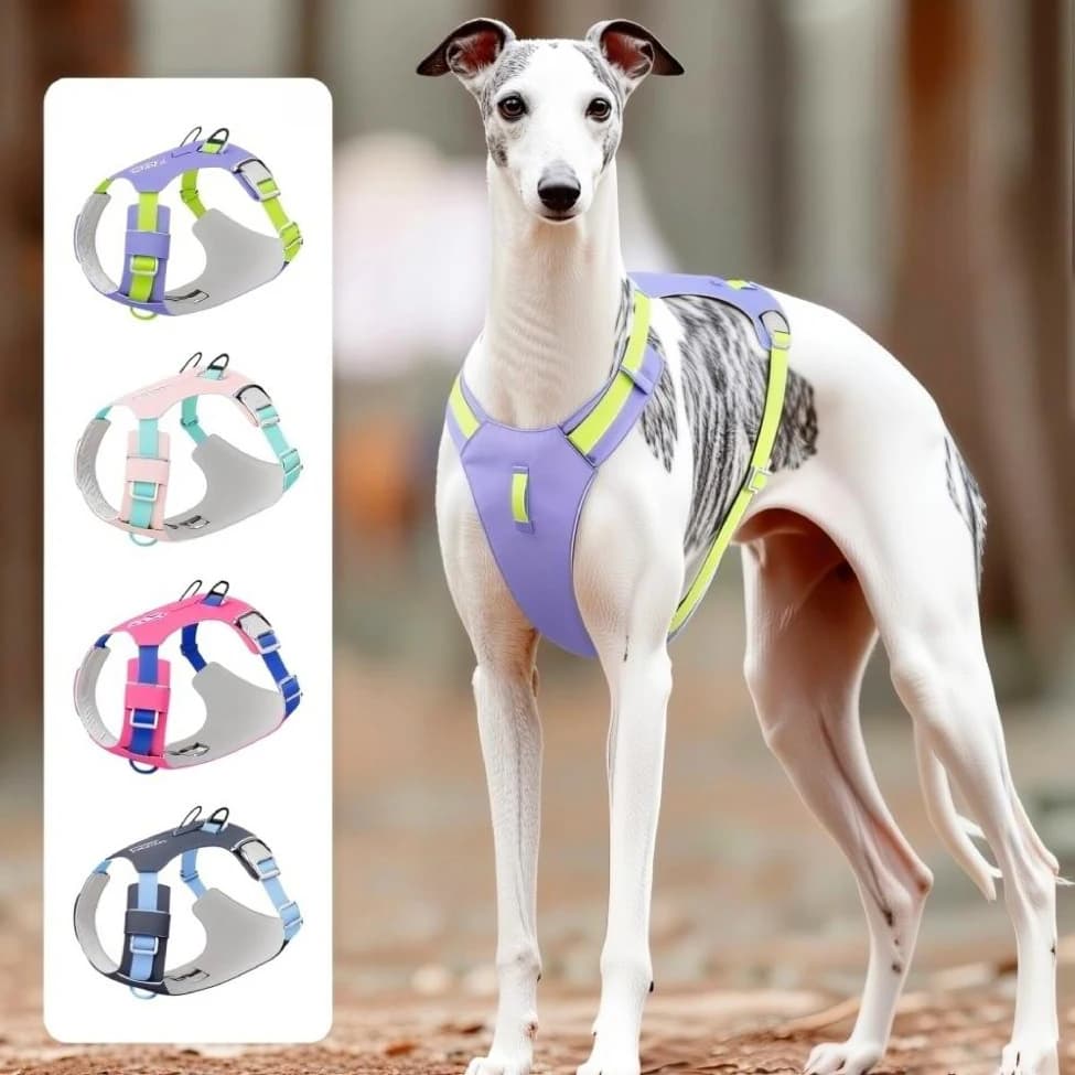 New Pet Dog Harness Light Weight Reflective Dog Cat Chest Strap Belt No Pull Soft Harness Vest Adjustable Outdoor Pets Harness